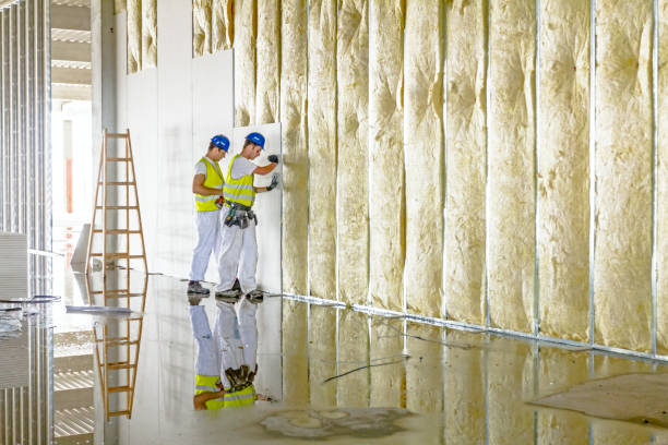 Trusted Brookdale, CA Insulation Contractor Experts